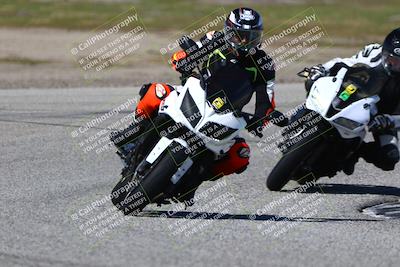 media/Mar-23-2025-TrackDaz (Sun) [[88a7749186]]/C Group/240pm (Cotton Corners)/